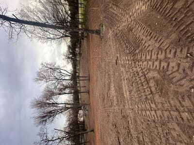 {{ custom_values.service_2 }} in {{custom_values.area_2})