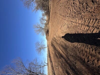 {{ custom_values.service_2 }} in {{custom_values.area_2})