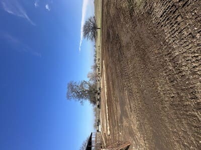 {{ custom_values.service_1 }} in {{custom_values.area_2})