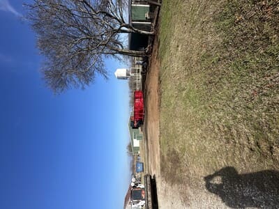 Land Clearing in Newcastle