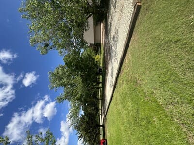 Tin horn services in Newcastle