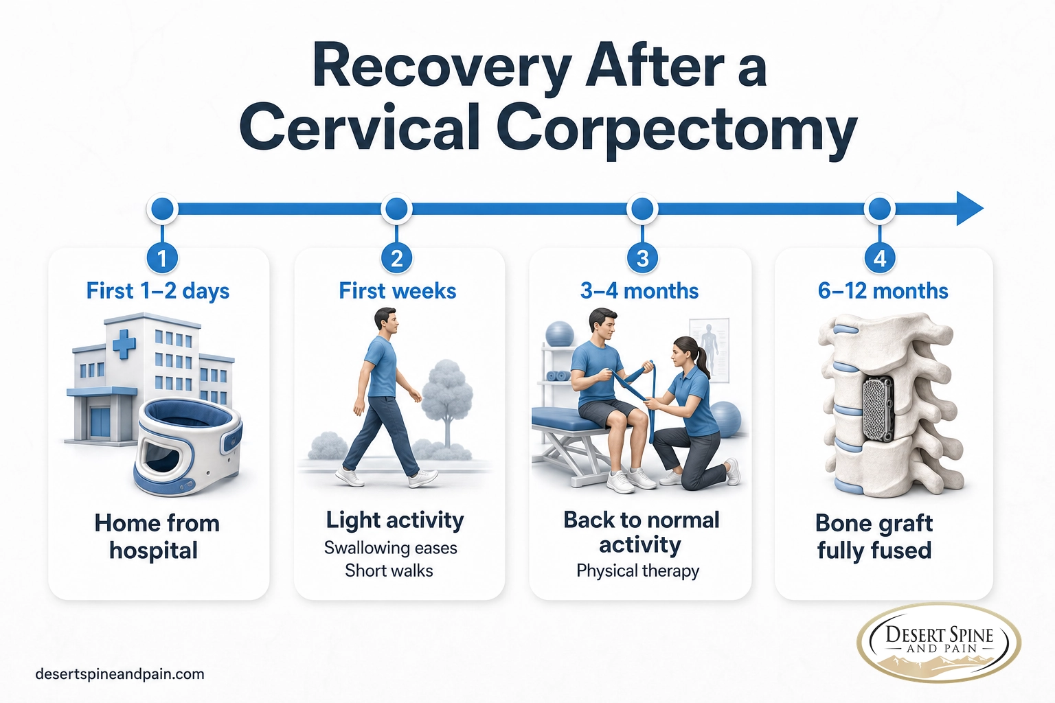 Recovery timeline after cervical corpectomy from first days to full bone fusion at six to twelve months