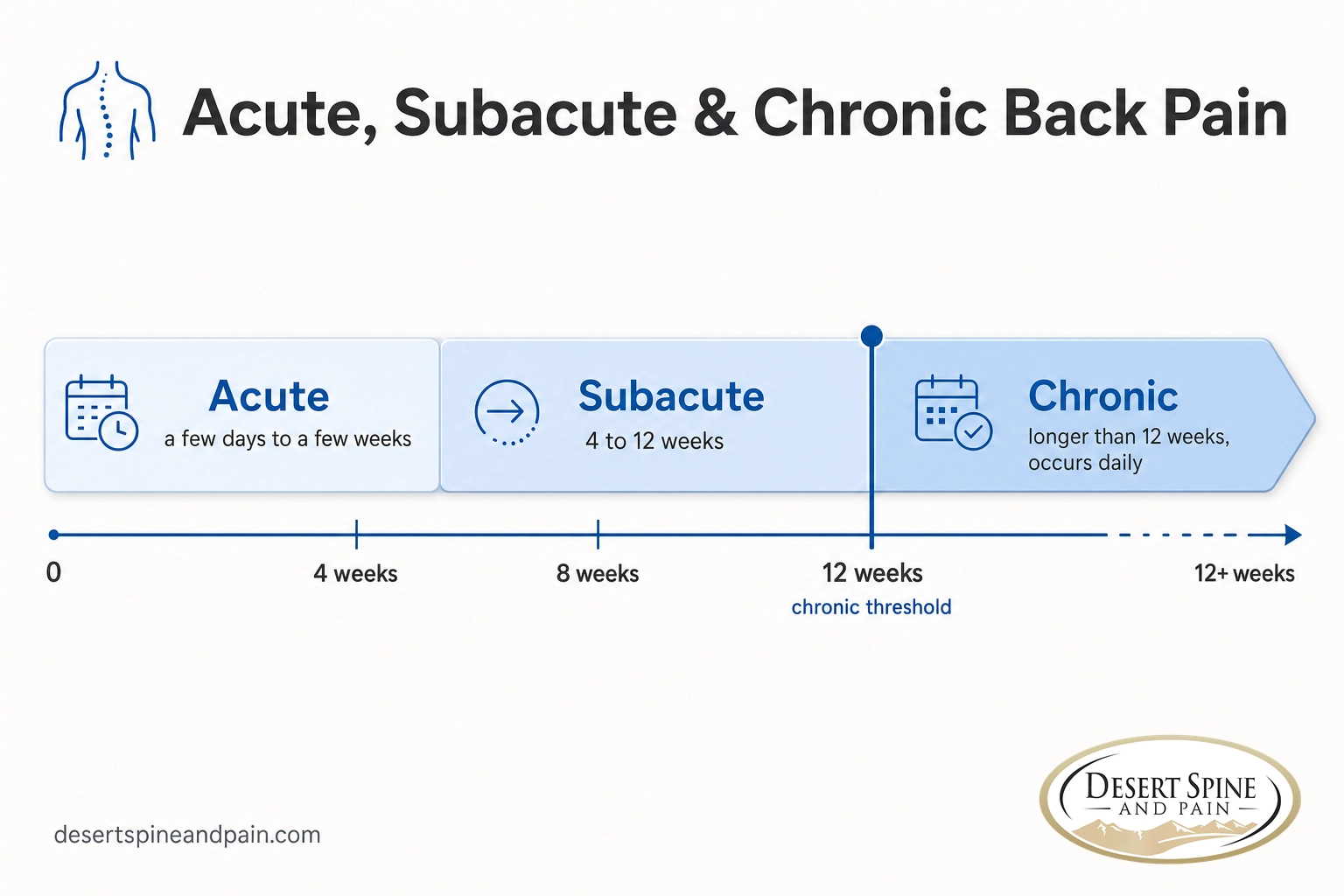 Timeline infographic showing acute, subacute, and chronic back pain stages with the 12-week chronic threshold