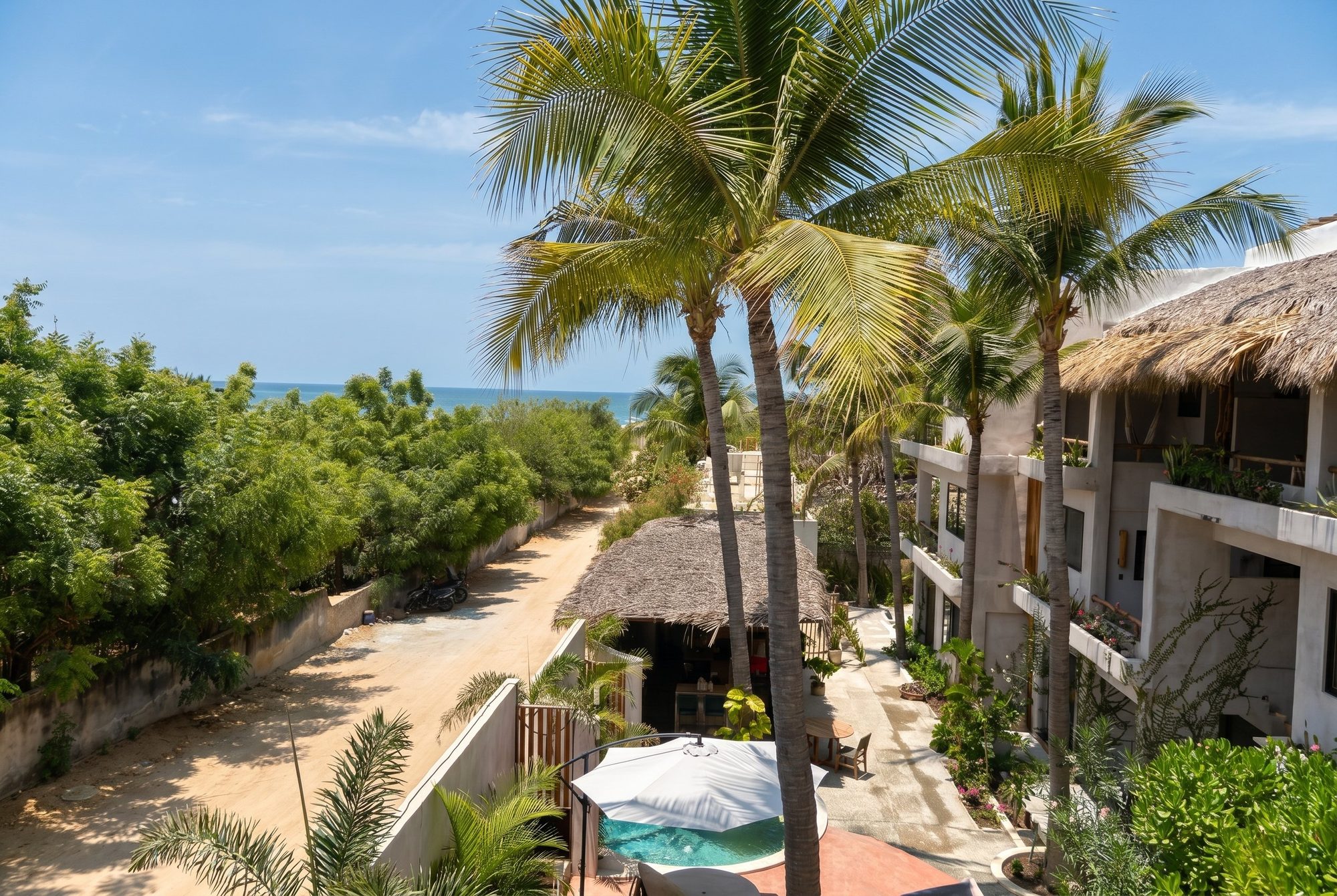 Ocean view over palm trees from the private terrace of the Plunge Pool Suite at Casa Leah