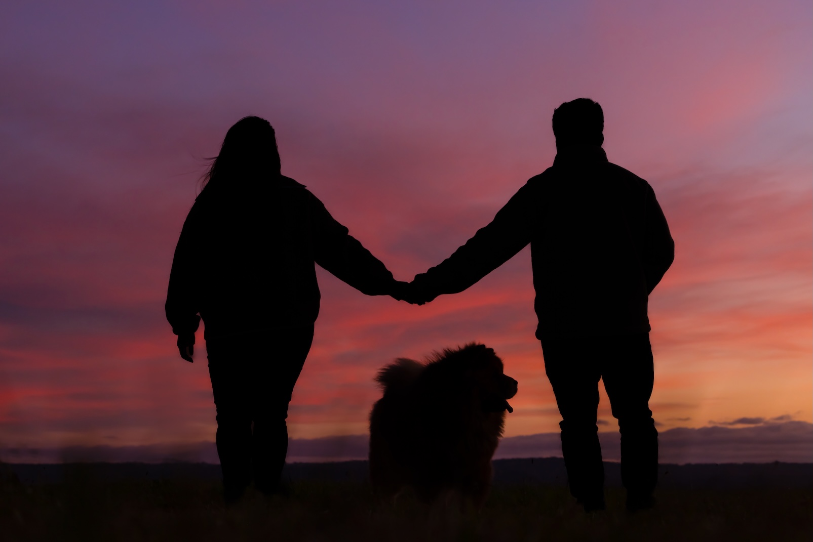 Sydney studio animal photographer