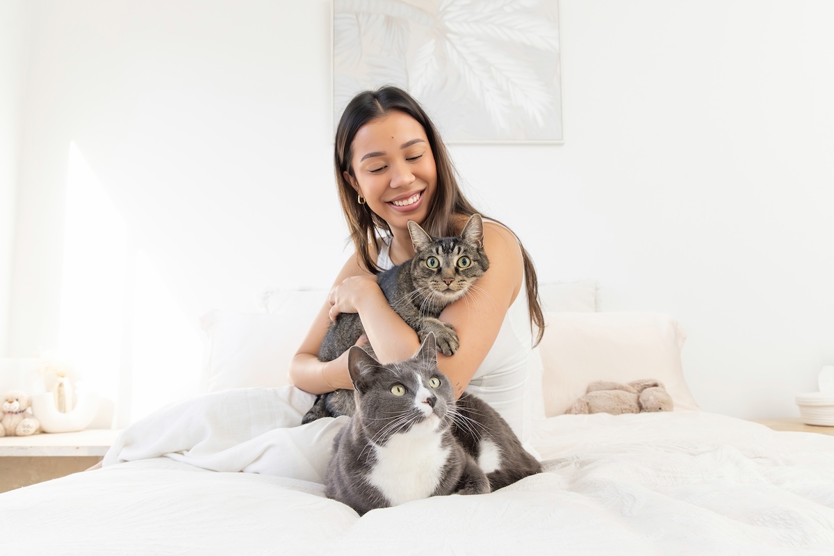 Pet cat Western Sydney at home pet photography