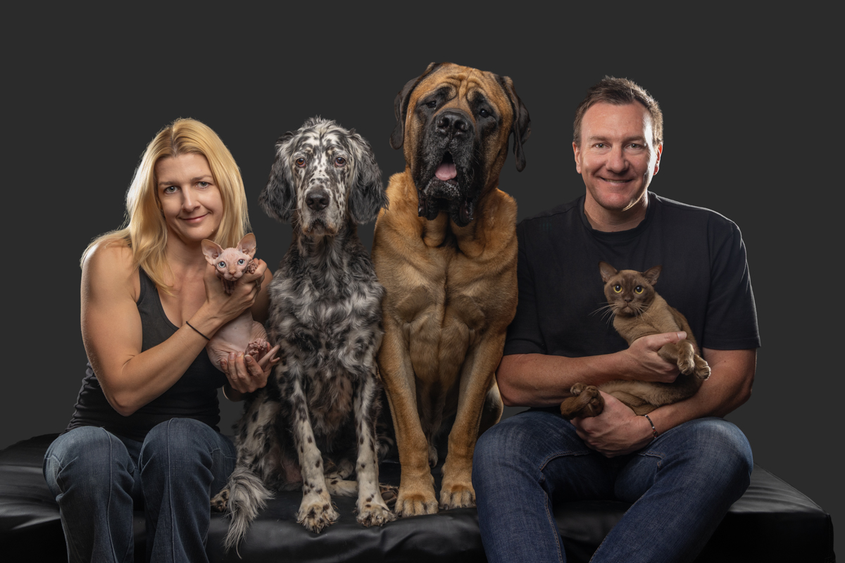 Dark studio animal portrait South West Sydney