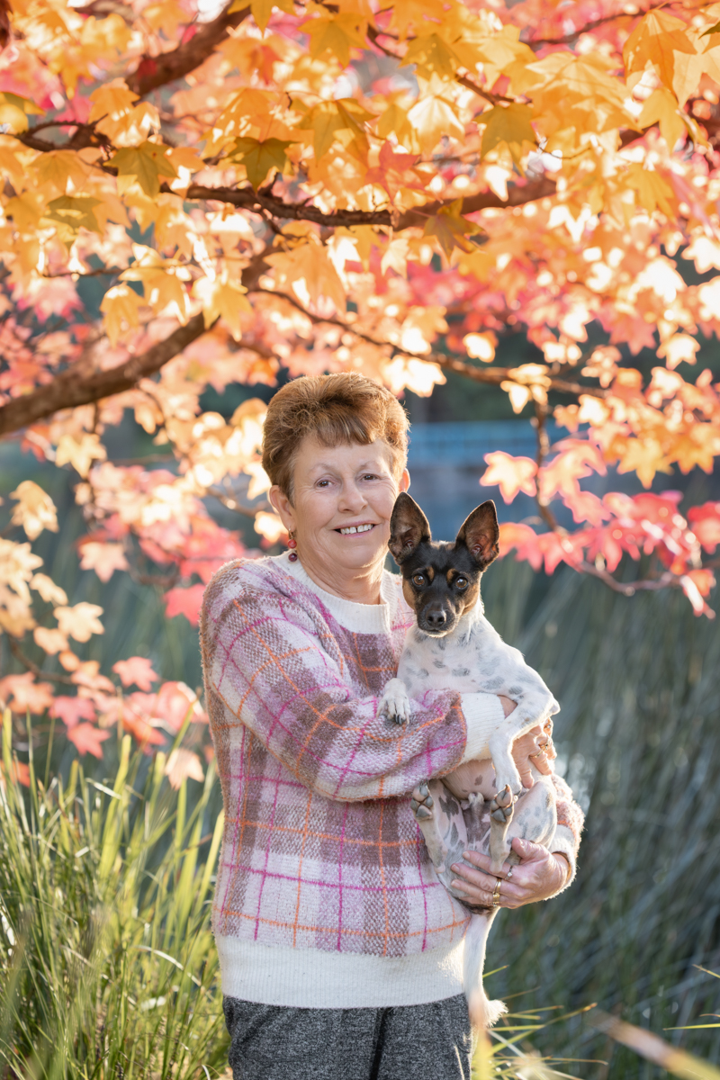 Moody dark pet portrait Sydney photographer