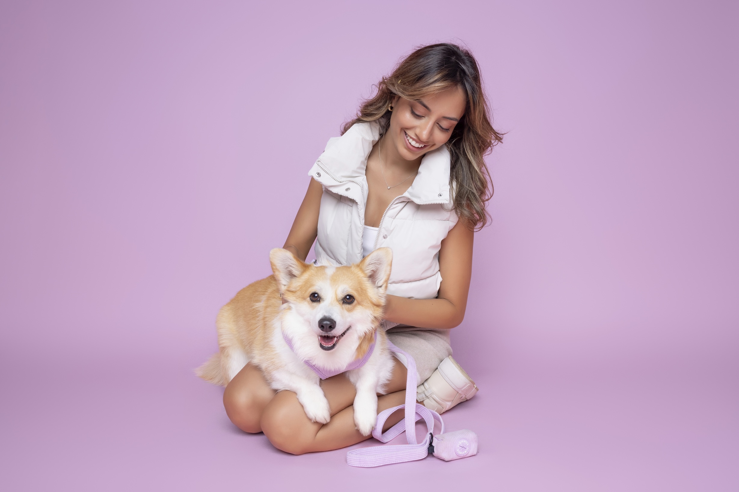 Pawfect Pals bandana Xolo dog commercial photography