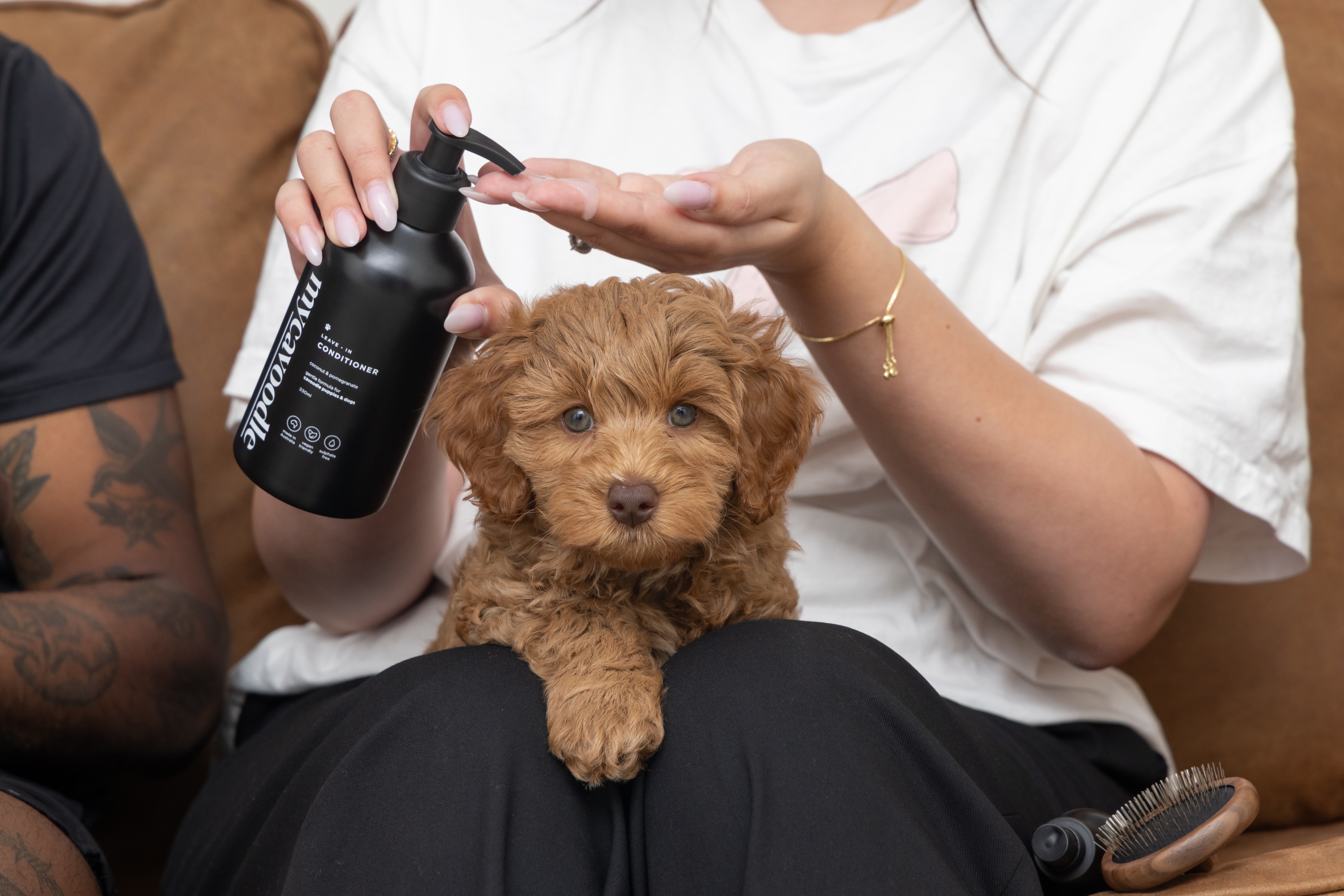 Mycavoodle dog conditioner lifestyle photography