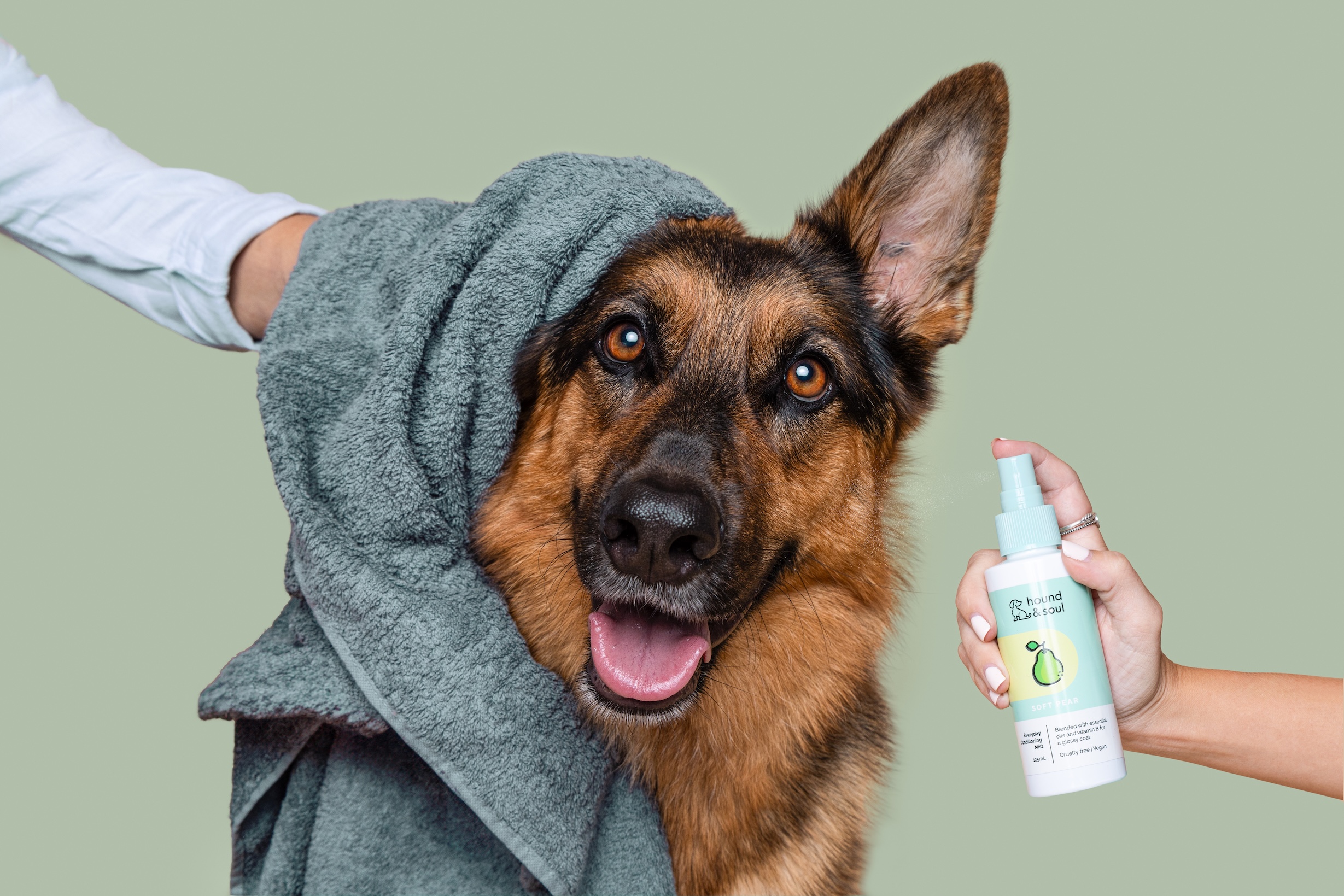 German Shepherd with Hound and Soul grooming product by Furtographer