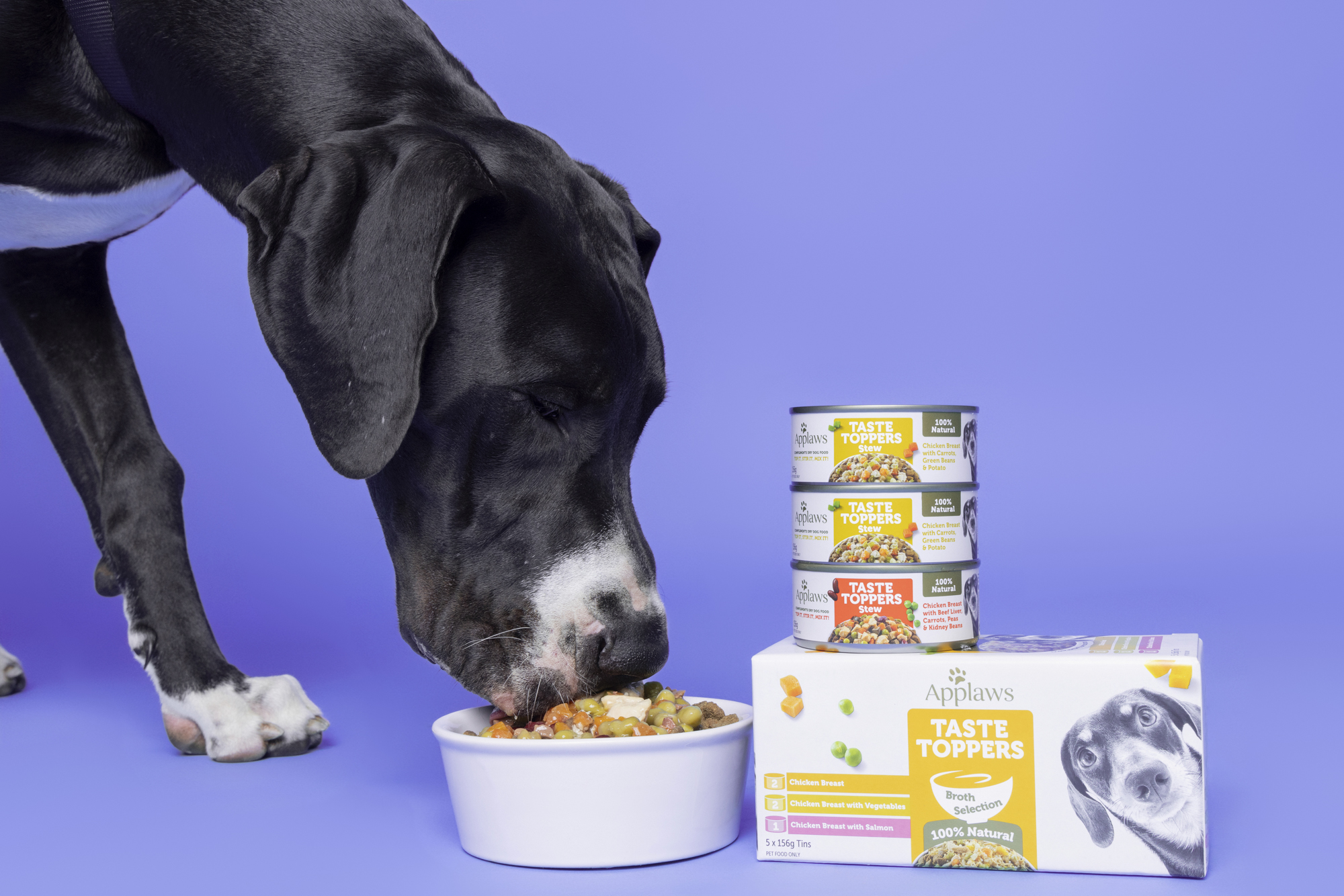 Applaws Great Dane lifestyle commercial photography Sydney