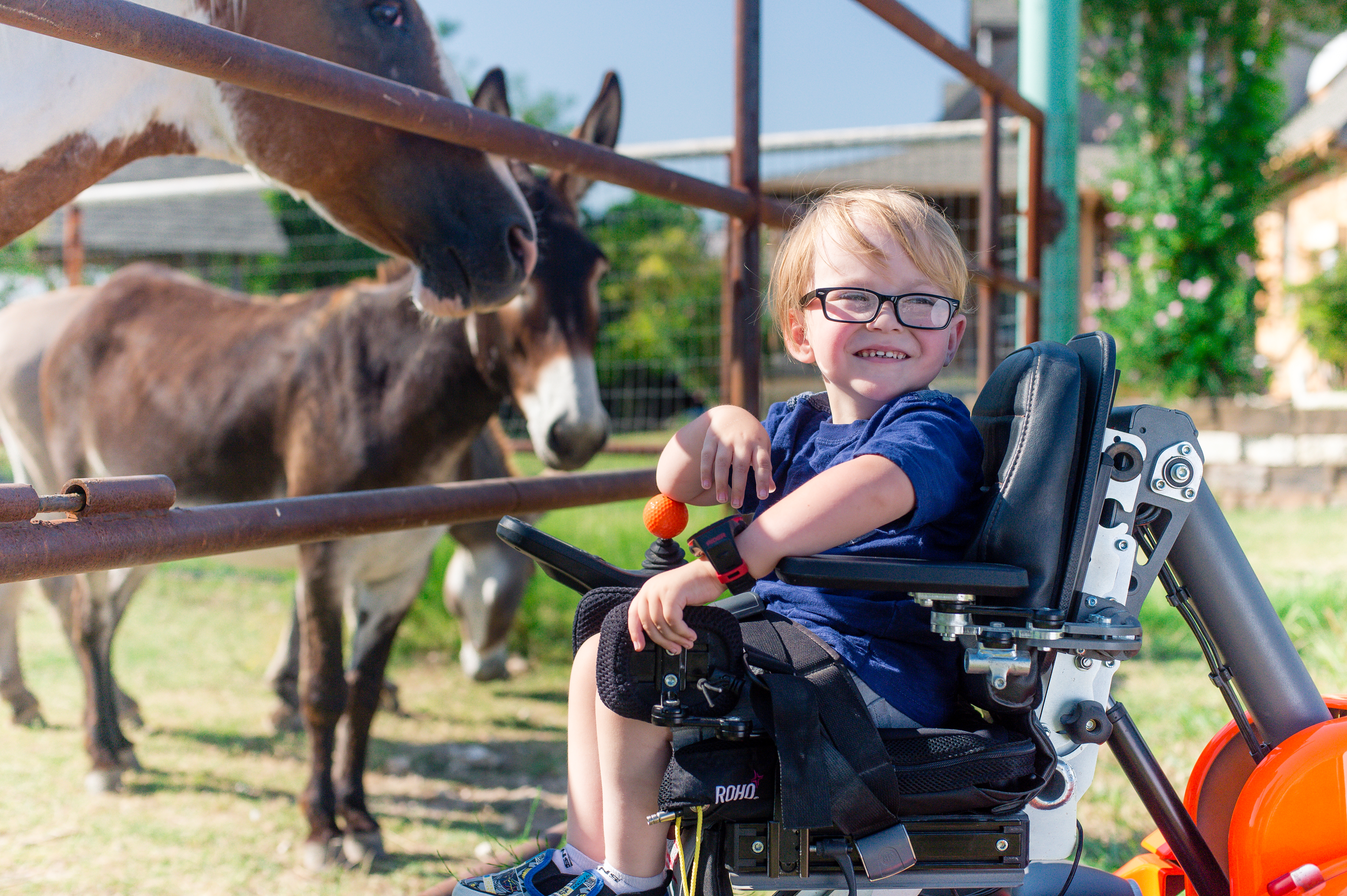 Custom mobility equipment