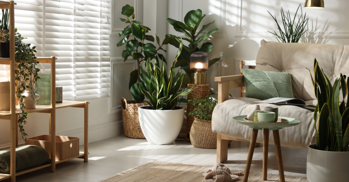 clean healthy home eco friendly cleaning Eltham Melbourne