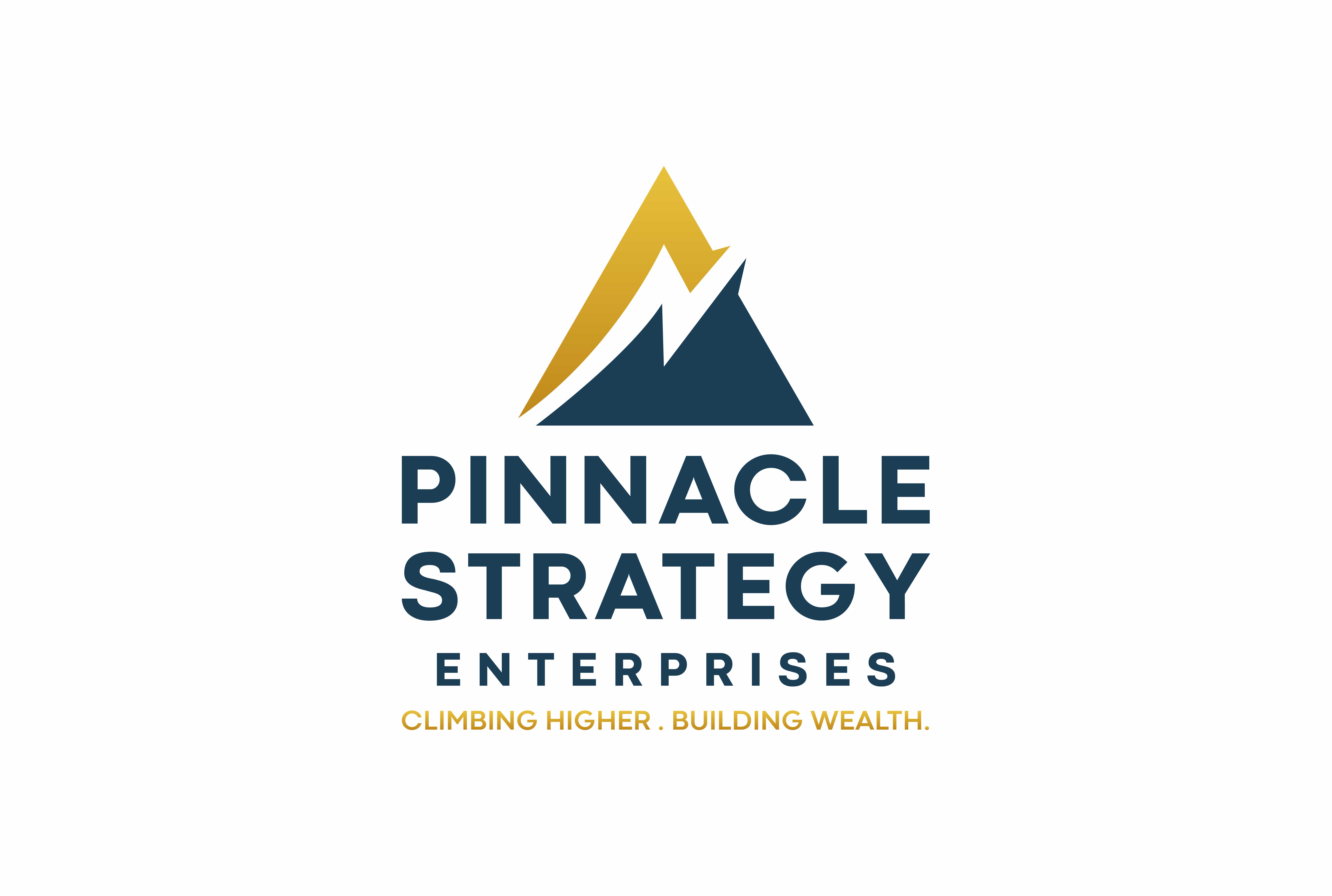 Pinnacle Strategy Enterprises logo