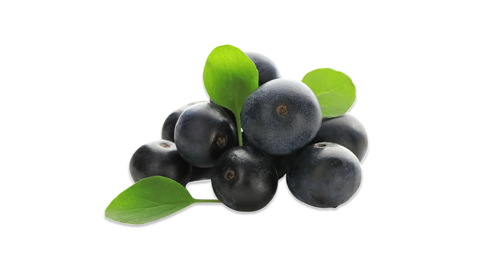 Acai berries