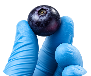 Lavorate a Rovereto con standard qualitativi europei