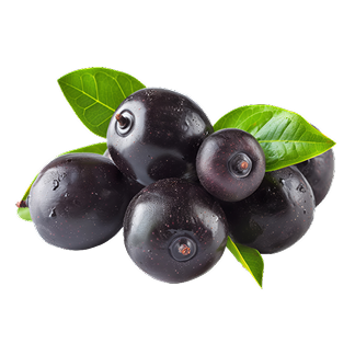 Raccolta delle bacche in Brasile