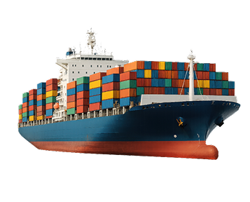 Trasportate in Italia