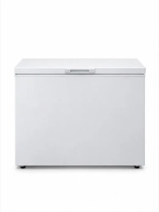 Premium chest freezer repair in a customer home