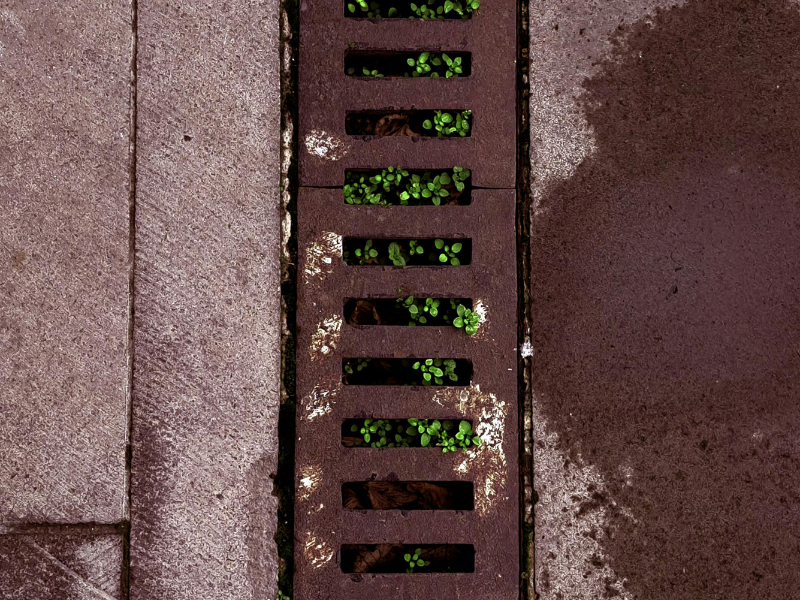 Blocked outdoor drain with visible debris and buildup Blocked outdoor drain with visible debris and buildup