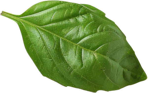 A pizza sitting on top of a wooden table