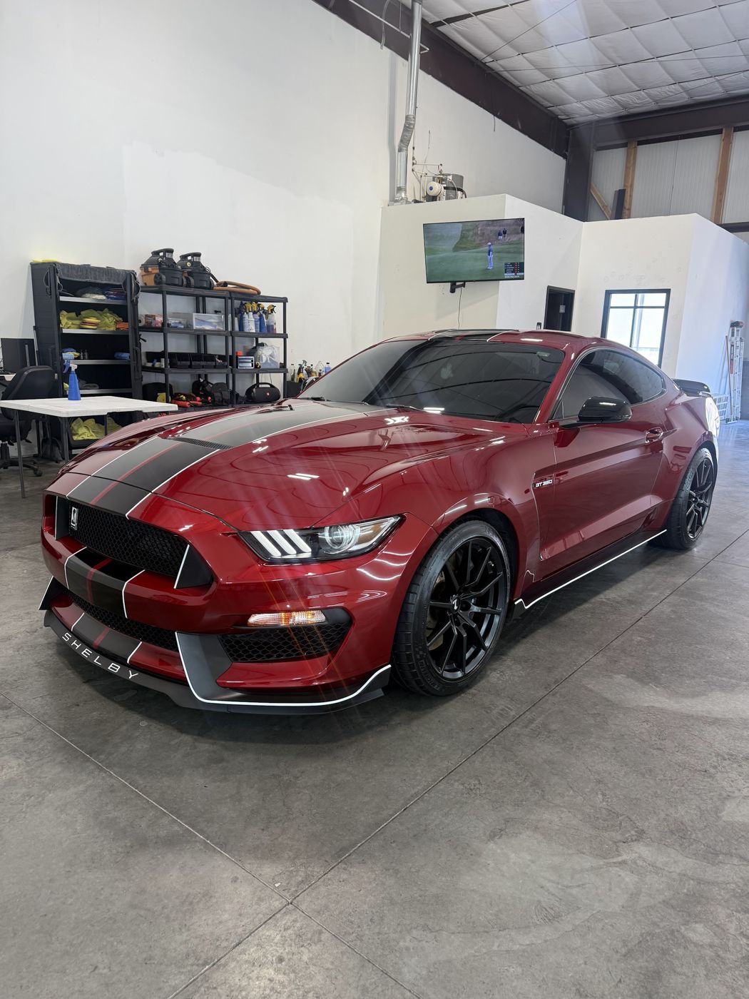 Red Shelby GT350 with glossy paint in the Xavier shop