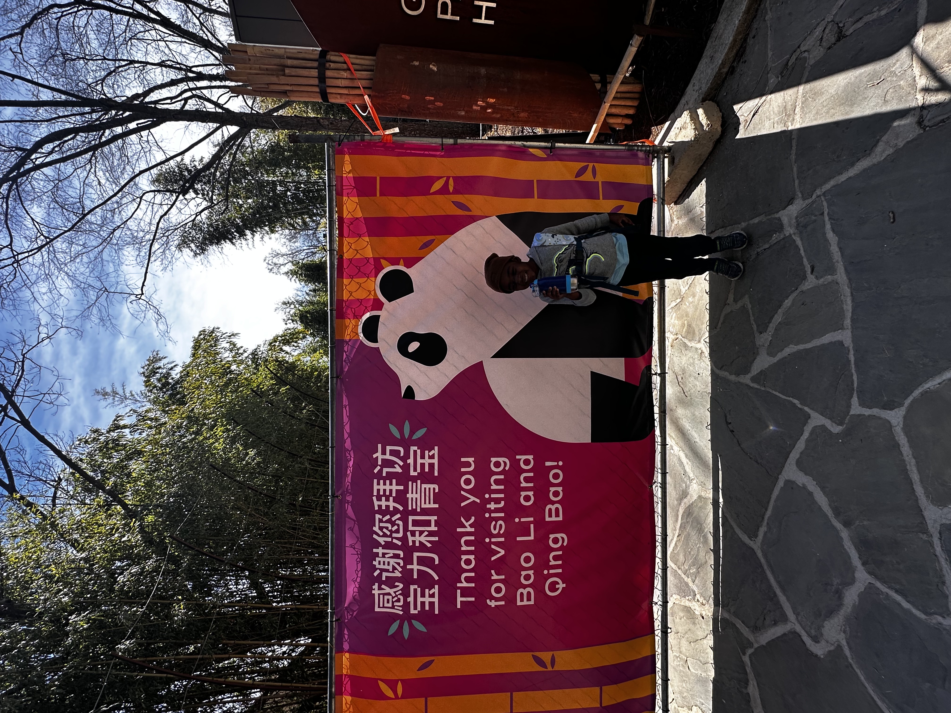 Child standing next to Bao Li and Qing Bao giant panda welcome banner at Smithsonian National Zoo DC