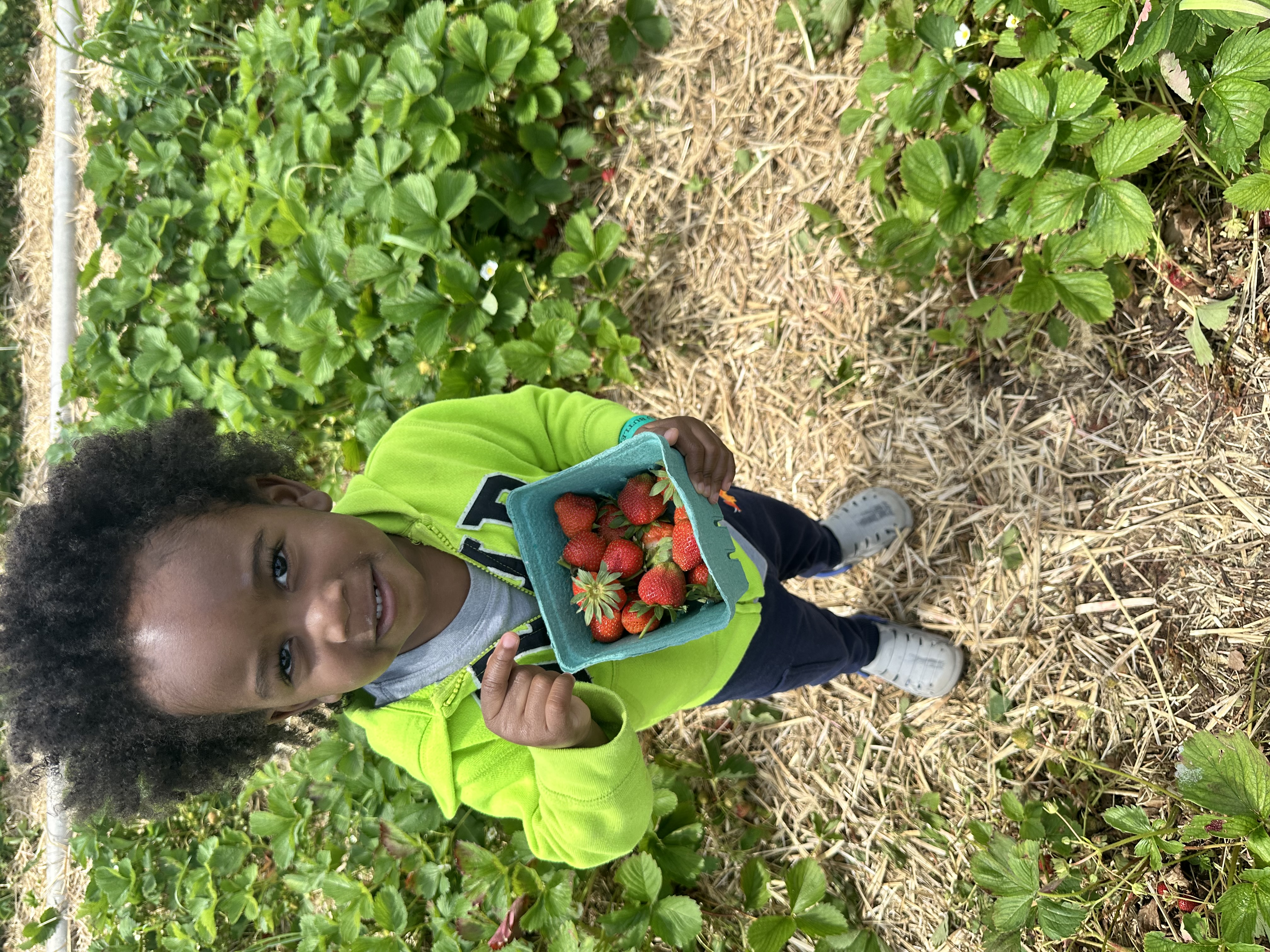 toddler boy standing together holding full strawberry baskets at Butler's Orchard