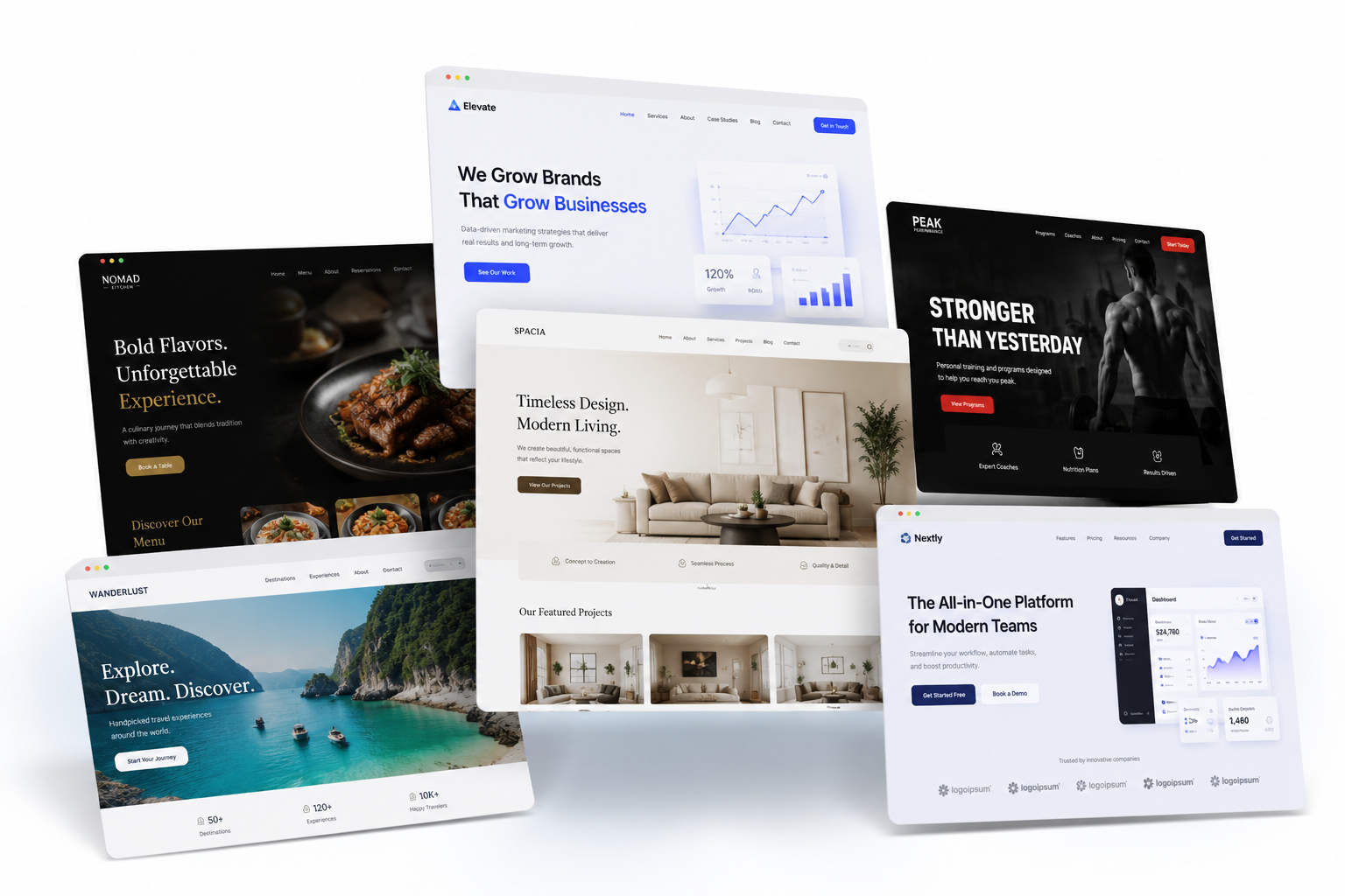 Website Preview 2