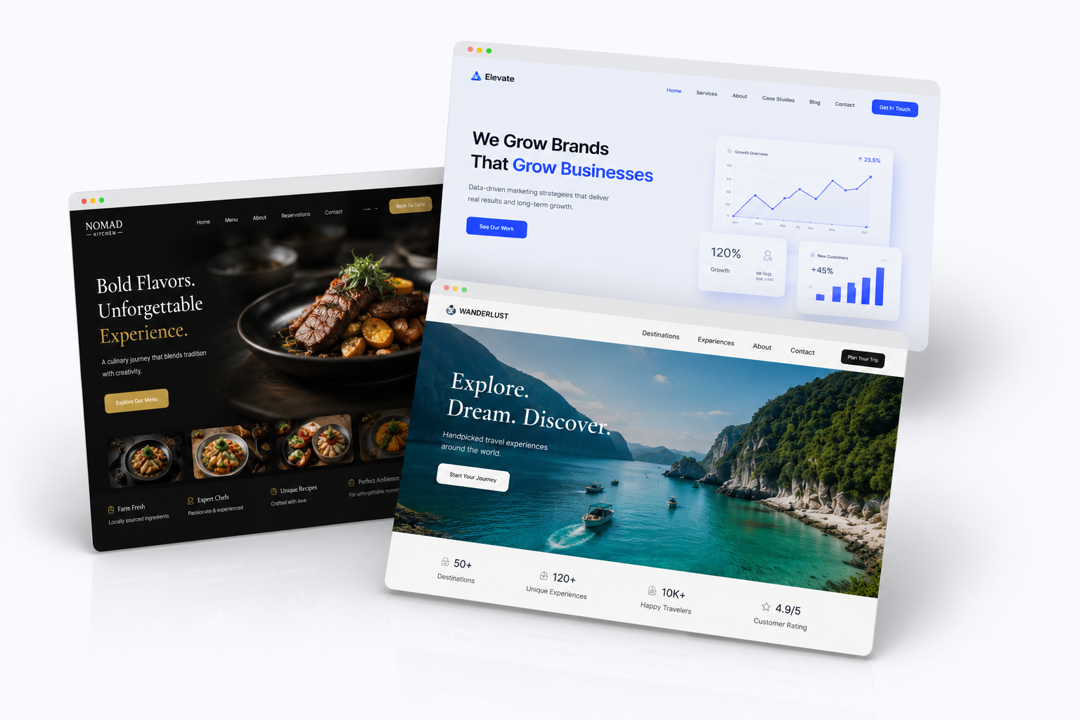 Website Preview 3