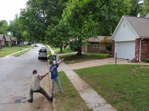 Stump grinding in Broken arrow