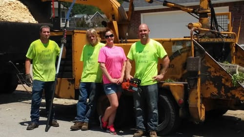 tree service in Tulsa