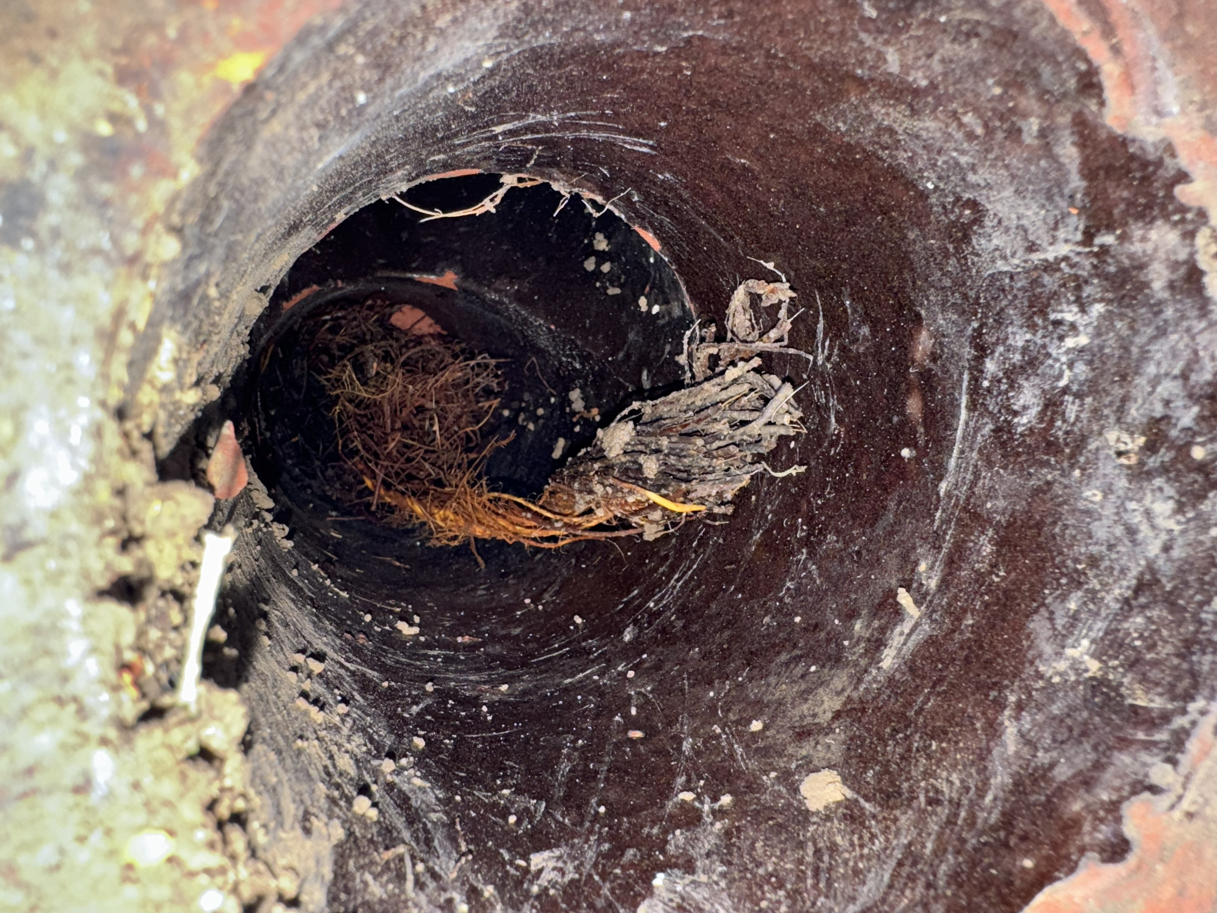 Hydro jetting drain cleaning