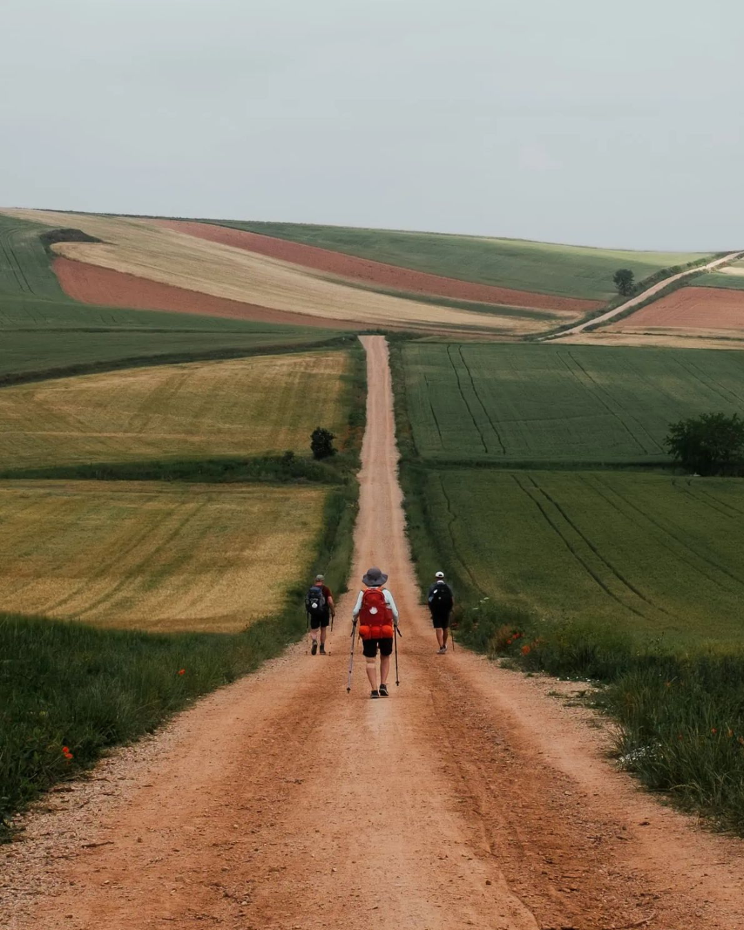 Reencontrar el Camino · Camino de Santiago