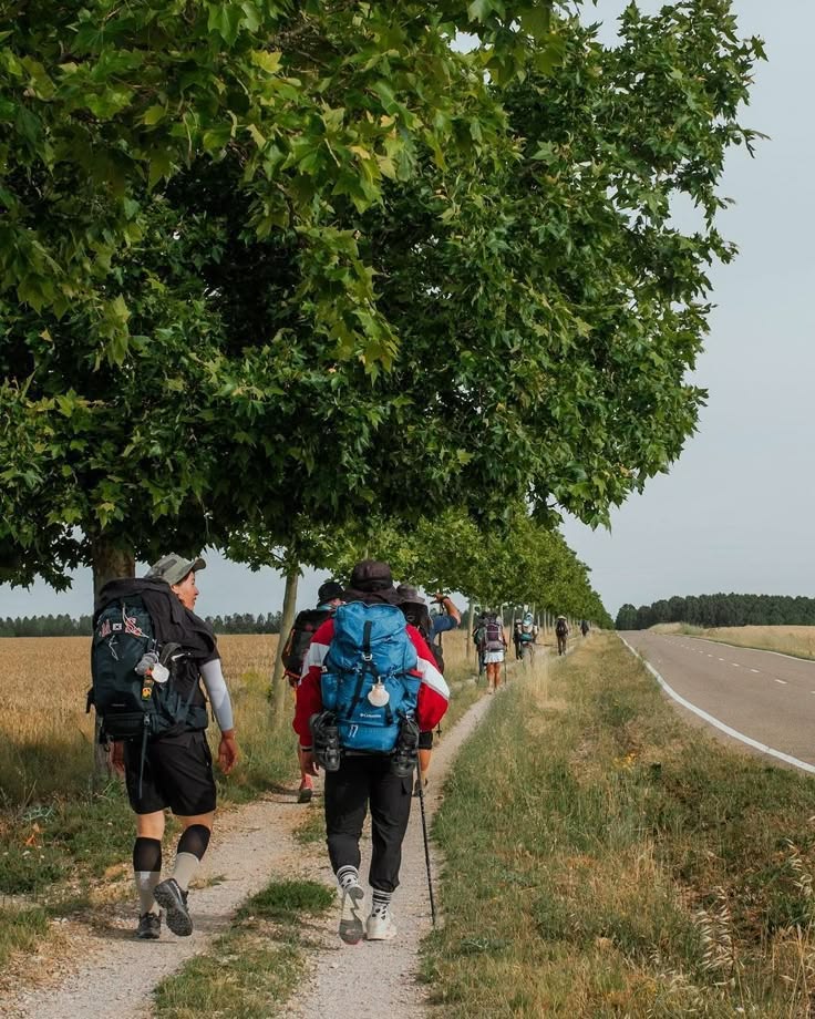 Peregrinos caminando el Camino de Santiago