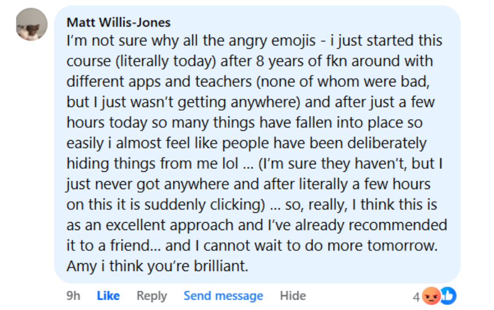 Facebook testimonial post from Matt Willis-Jones about Expat Spanish Lessons