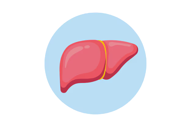 liver icon