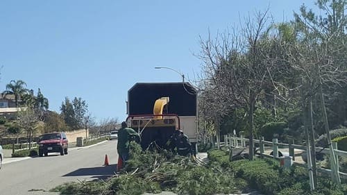 landscaping in Glendora