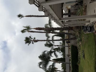 Lawn maintenance in Glendora