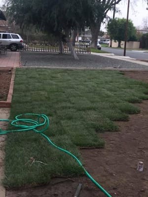 Tree trimming in Glendora