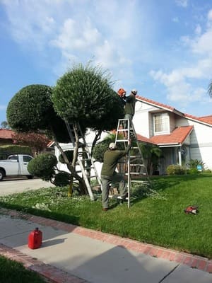 {{ custom_values.service_2 }} in {{custom_values.area_2})