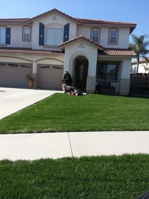 Clean ups in Fontana