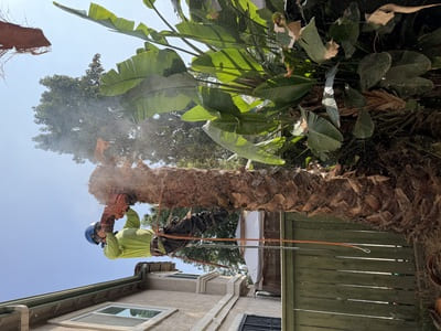 Clean ups in Fontana