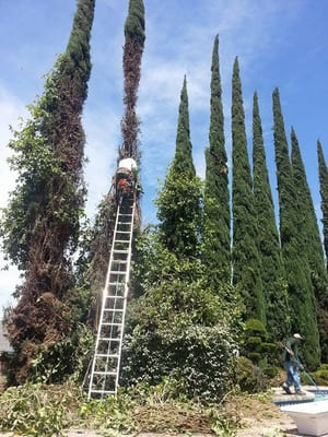 {{ custom_values.service_3 }} in {{custom_values.area_3})