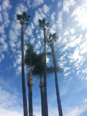 {{ custom_values.service_3 }} in {{custom_values.area_3})