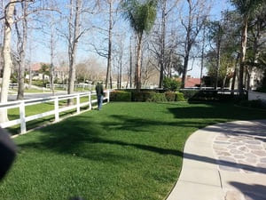 Tree trimming in Fontana
