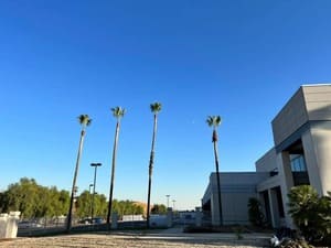 Lawn maintenance in Fontana