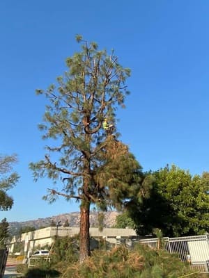 {{ custom_values.service_2 }} in {{custom_values.area_2})