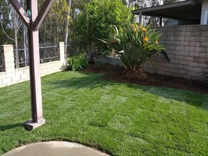 {{ custom_values.service_3 }} in {{custom_values.area_3})